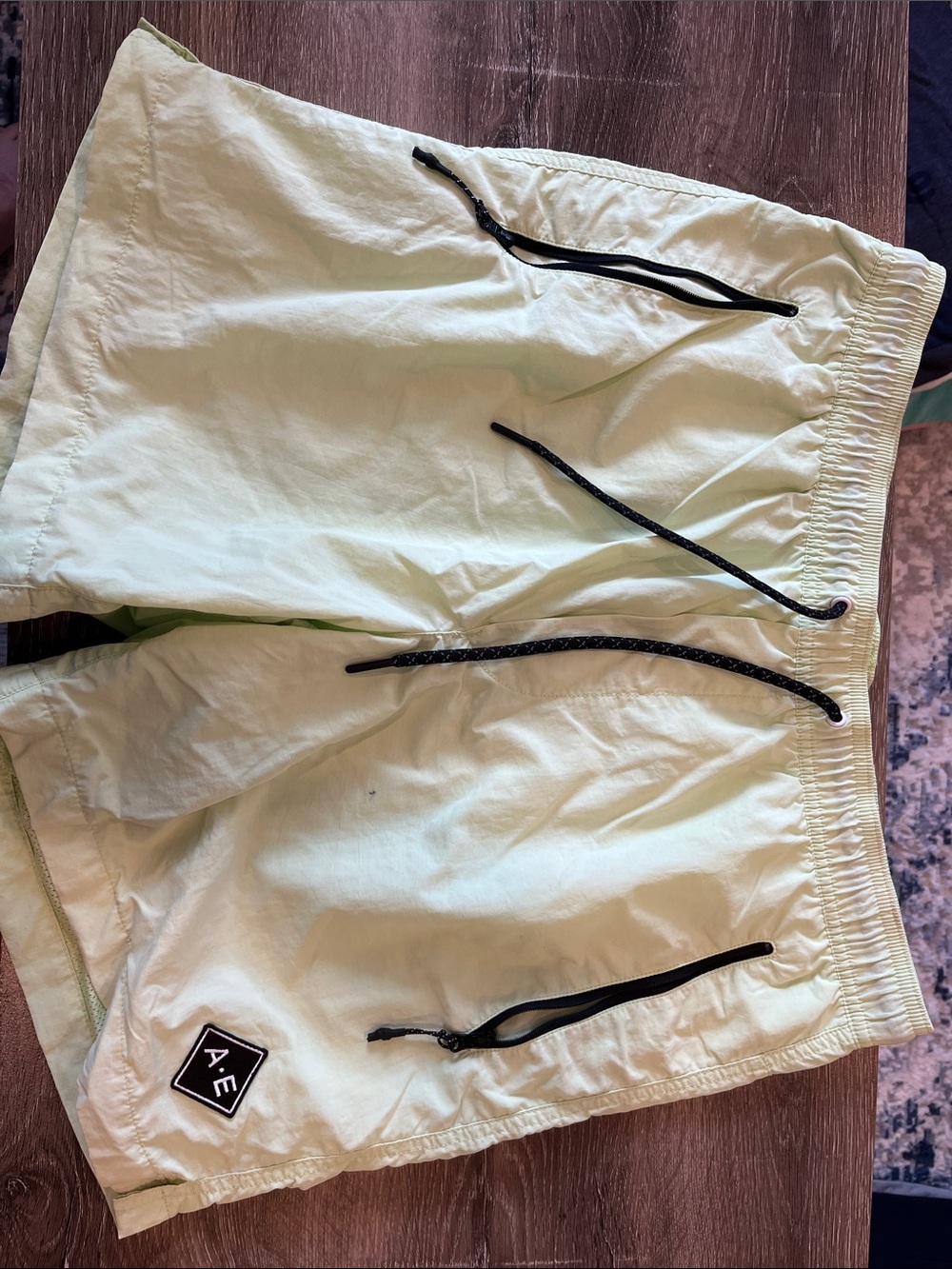 American Eagle Outfitters Light Green Men’s Swim/Active Shorts with Drawstring